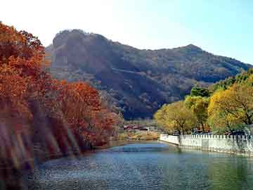 新澳天天开奖资料大全旅游团，虎林seo建站